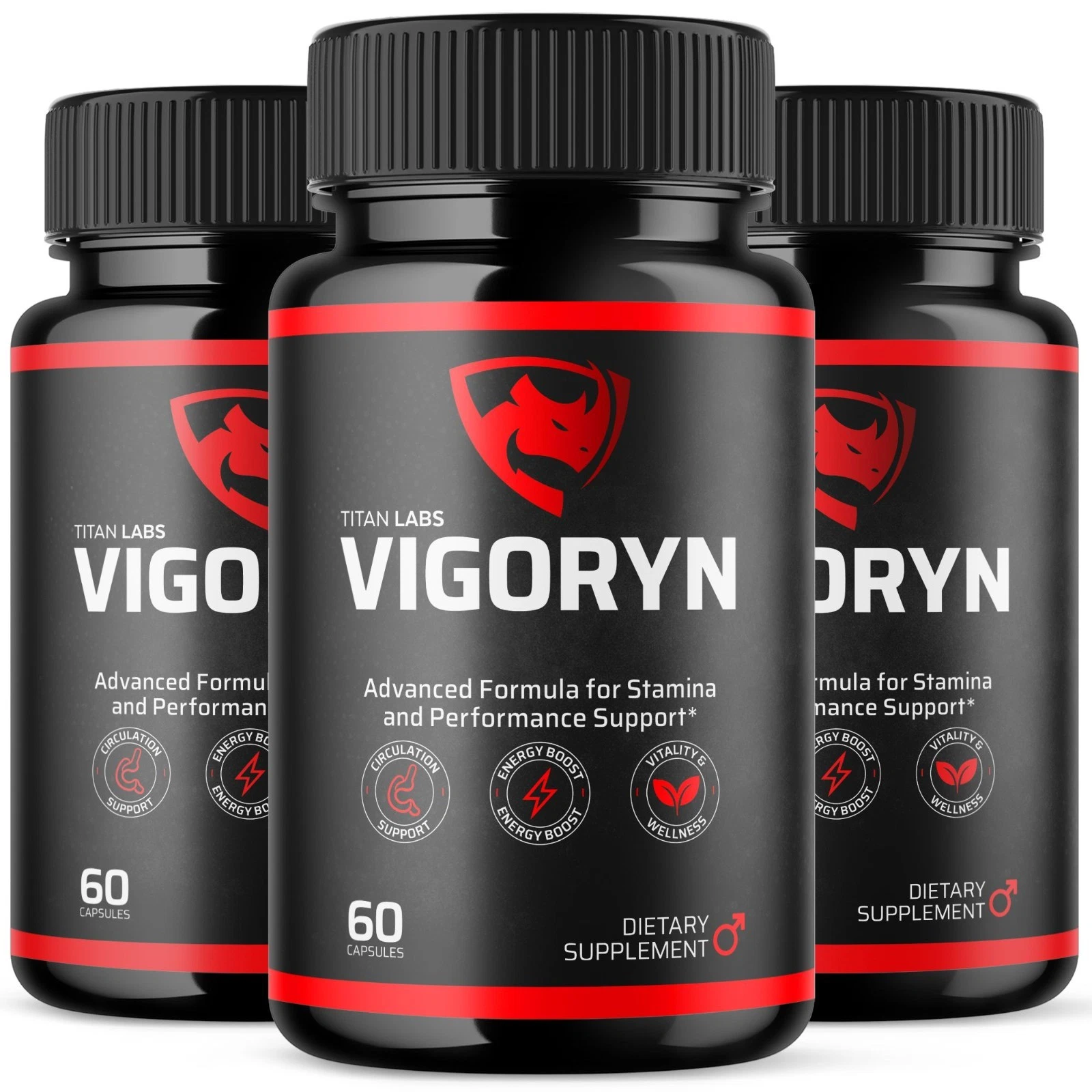 Vigoryn Pro 3 Bottles — 90 Day Bundle