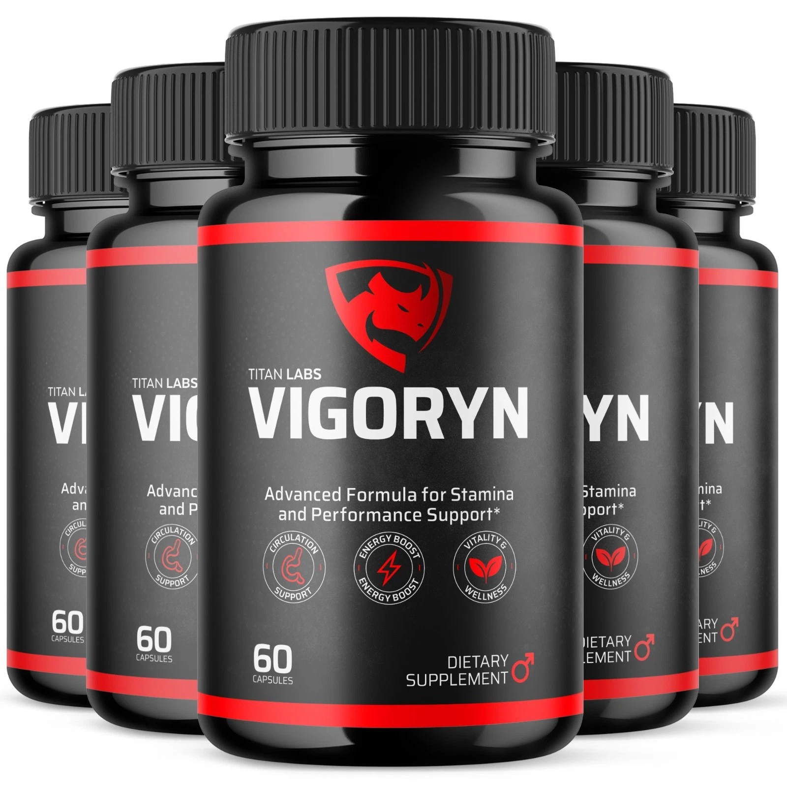 Vigoryn Pro 6 Bottles — Best Value 180 Day Supply